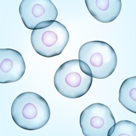図5-3-3 スキャン画像合成に使用した画像