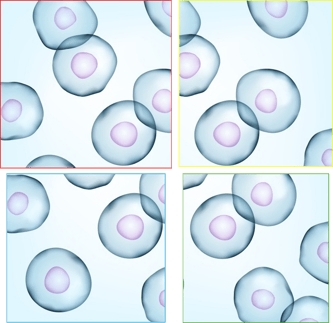 図5-3-5 トリミング後の4つの画像