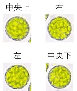250626_9